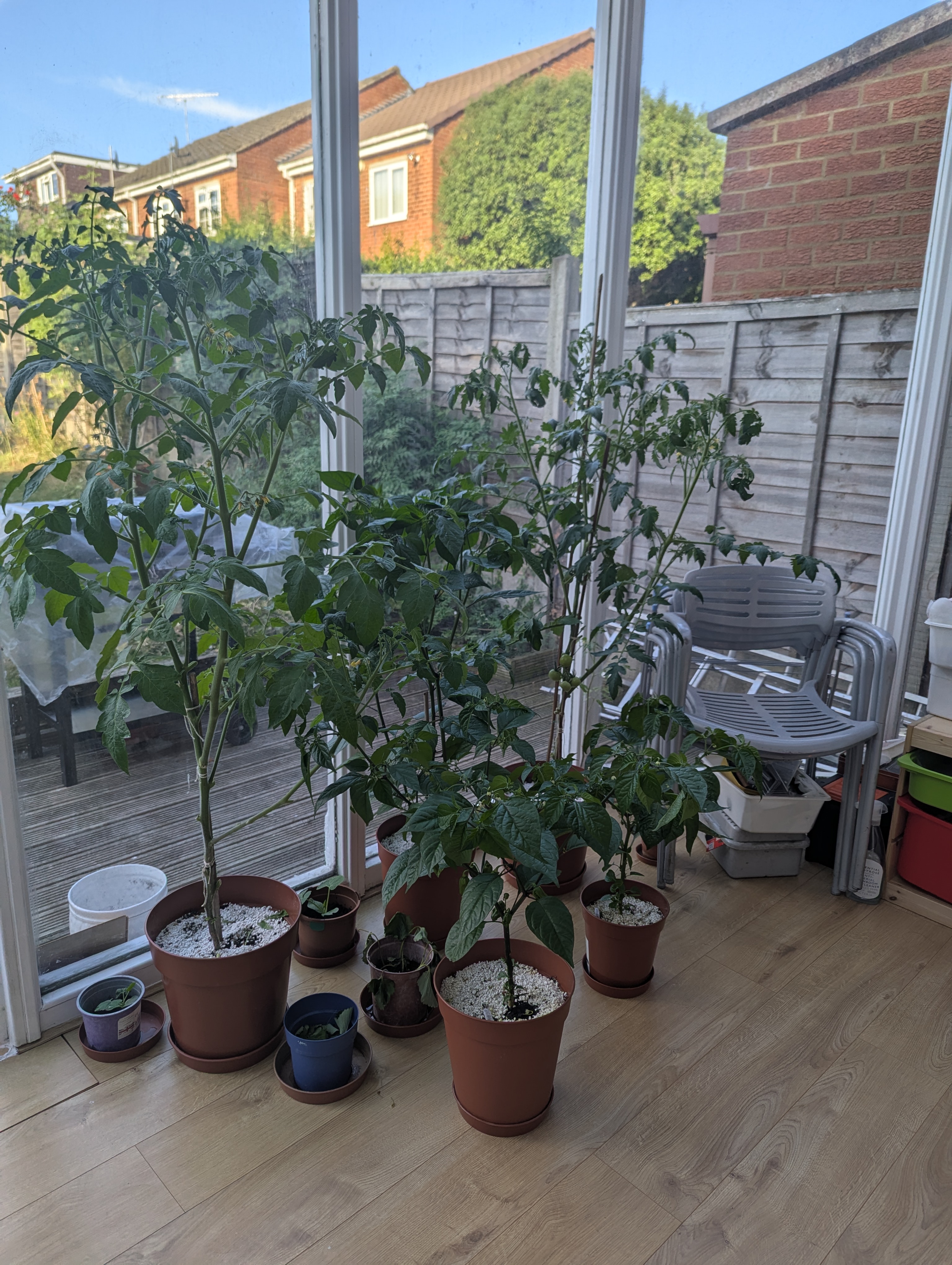Temp and Humidity regulator for plants